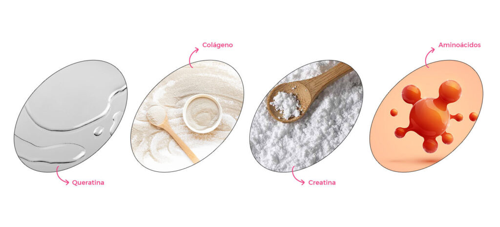 Ingredientes para saúde e beleza: Queratina, Colágeno, Creatina, Aminoácidos